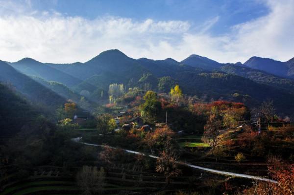 秋色美 惹人醉 秋色美 惹人醉