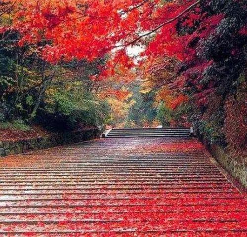 《霜降北風瑟》2021.10.10.29