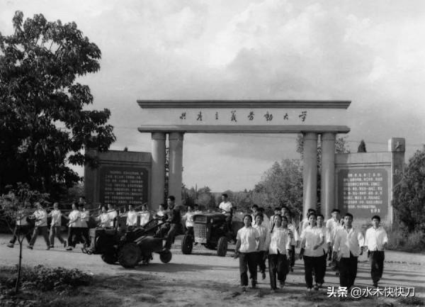 由老電影《決裂》，想到曾經的共產主義勞動大學，帶來的教育革命