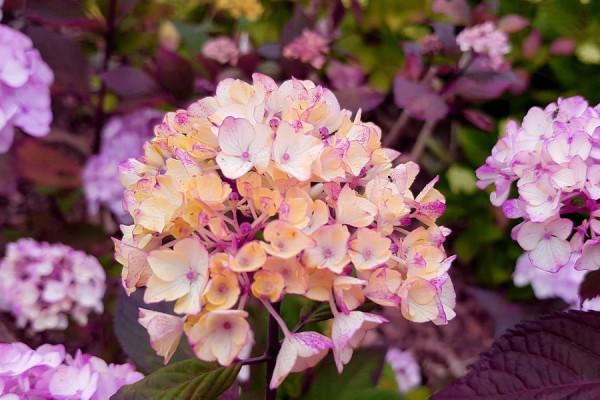 金牛座10月運勢詳解，專注學習，提高自我，自信的感覺會很舒暢