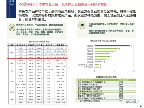 鄉村振興戰略下發展規劃、投融資規劃、城鎮發展策略、經典案例