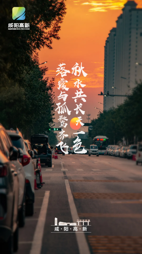 高新的秋天,每一張都是桌布! 高新的秋天,每一張都是桌布!