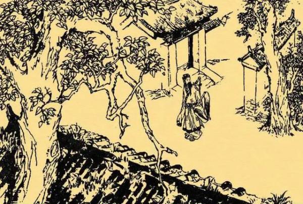 屠夫入凶宅，挖井