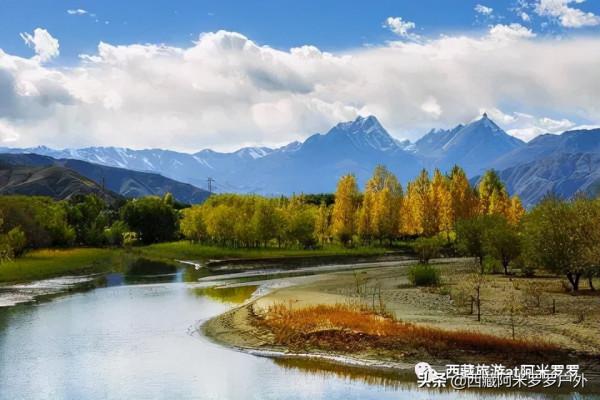 秋意濃,易遠行 秋意濃,易遠行