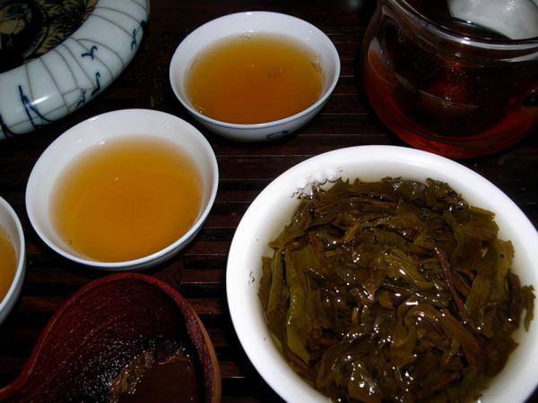 1克熟茶5億黴菌，喝熟茶等於喝髒水？普洱茶到底還能不能喝？