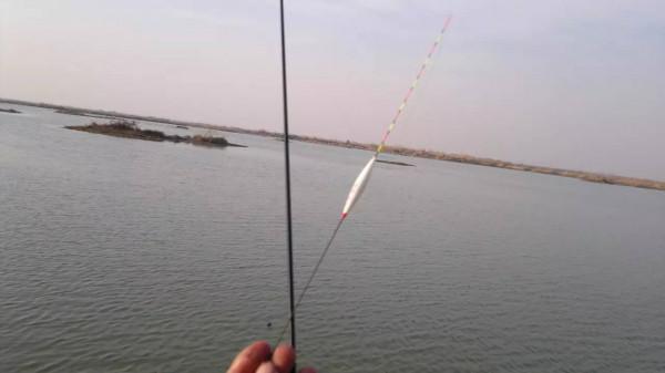 加粗尾的浮漂這樣用，靈敏度絲毫不輸細尾漂