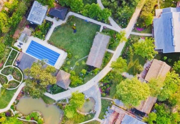 騰訊元老魏震：賺夠錢後辭職、攜妻兒退隱山林，每天種地喝茶？