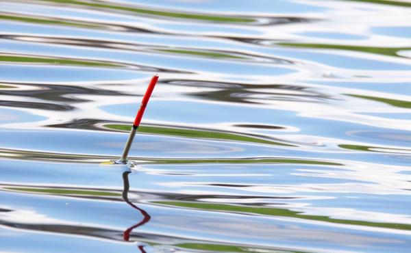 冬天釣魚關鍵是人找魚，野釣高手幾個小技巧教你找魚選窩