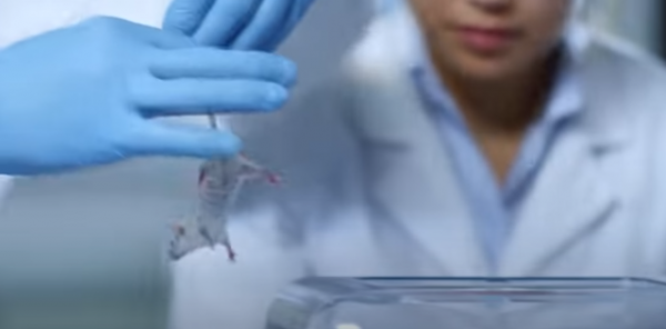 世界12個最秘密的軍事基地 杜格威試驗場最大，為何佔地48000英尺