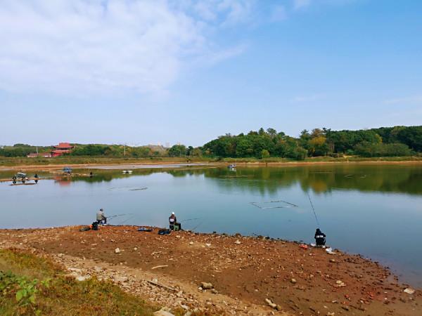 餌料未把魚兒引來卻招來不速之客，趕都趕不走……