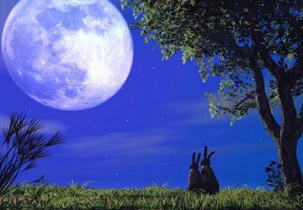 月亮，是我們想家的信鴿