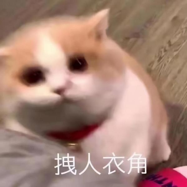 可可愛愛的表情包，快收藏喲