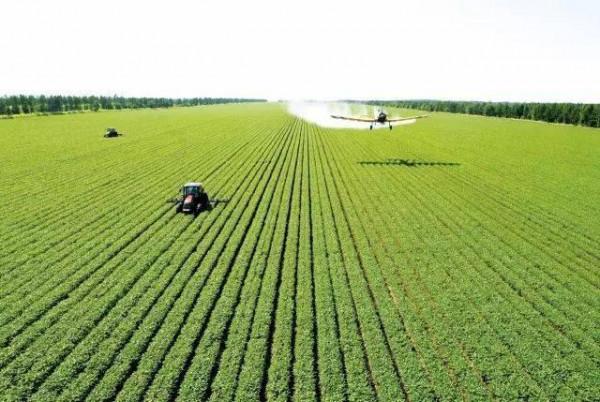 中俄超級雙贏合作典範:當中國農民遇見廣袤的西伯利亞 中俄超級雙贏合作典範:當中國農民遇見廣袤的西伯利亞