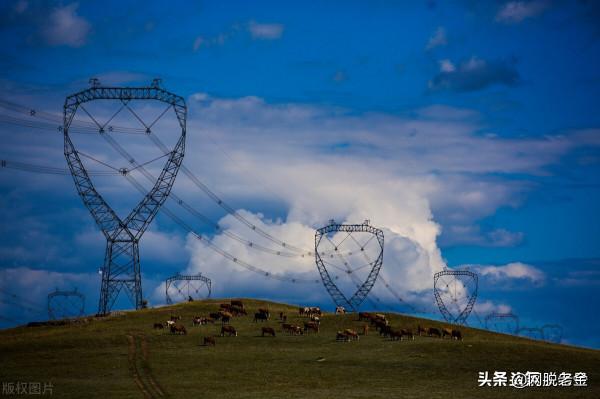 一紙限電雙控，敲碎了美麗國的如意算盤