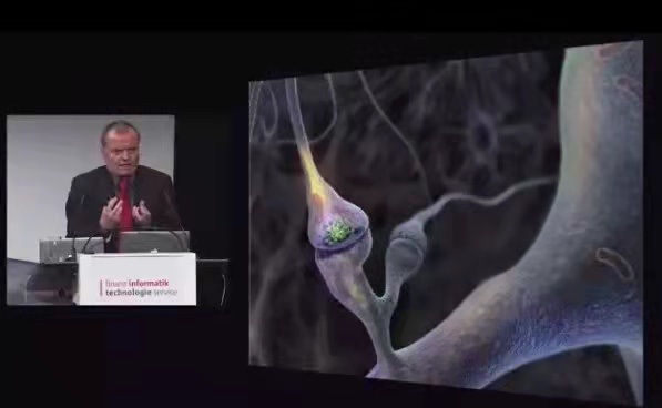 聰明孩子的大腦長啥樣子？