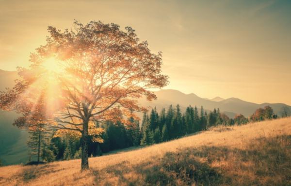 做人要懂得：看人長處，幫人難處，記人好處