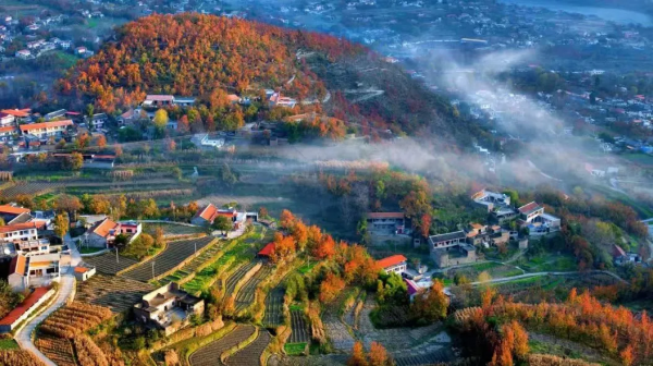 紅葉最佳觀賞期！這些地方全都美成了仙境，趕緊出發