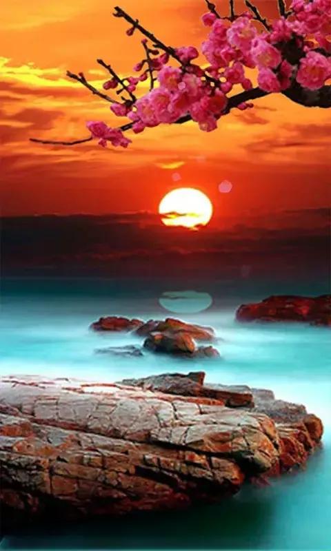 毛主席——我們懷念您！（紀念毛主席誕辰128週年）