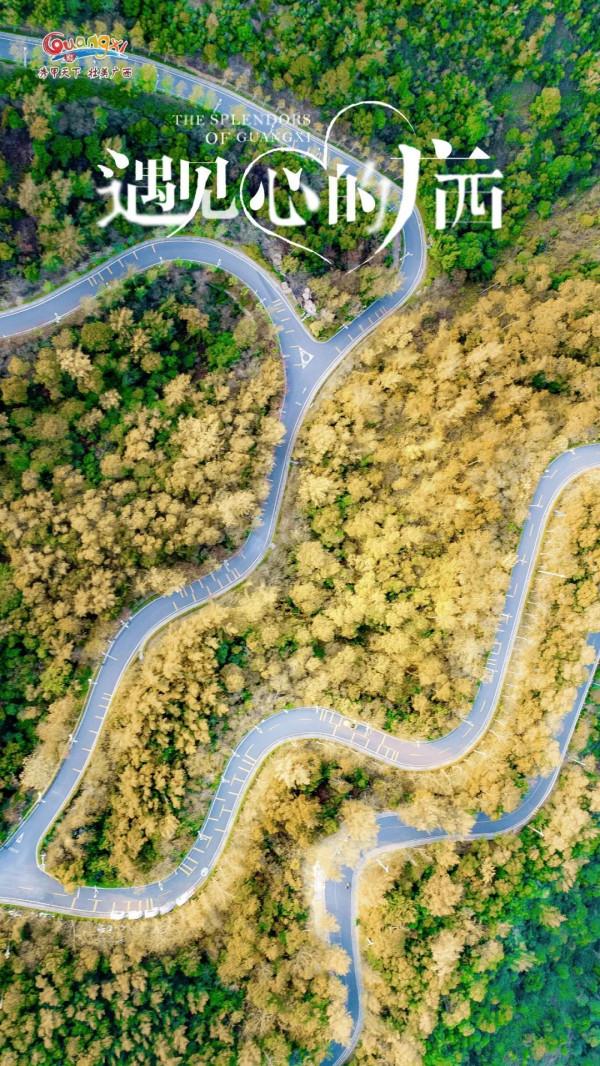這個冬天，和王鷗一起，遇見“心”的廣西