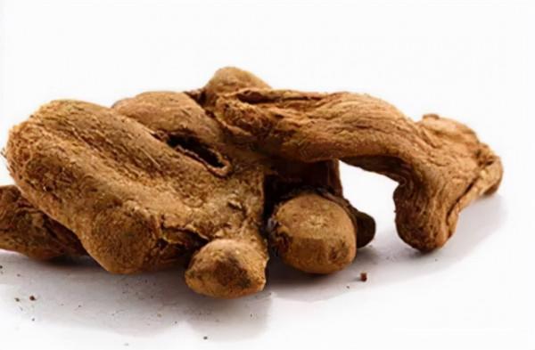 【馬博士聊本草】女科要藥（六）：姜的故事——神奇的姜