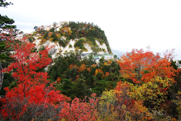 十一遊覽華山的最佳線路,現在就給你安排! 十一遊覽華山的最佳線路,現在就給你安排!