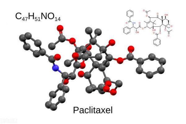 近日清華大學發明高效抗癌藥敏測試新方法