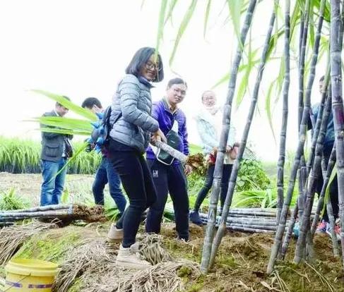 湖北話這些常用詞彙，您會寫嗎？第三批來了