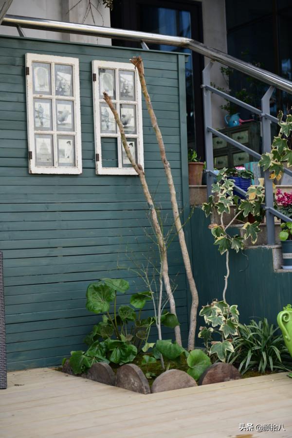 綠色背景牆的角落，聞著番木瓜花的香味賞月啦 | 園丁