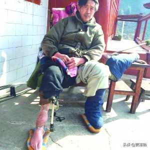 真實事件：甘肅66歲老漢茶園遭熊貓撕咬！起訴當地機構後獲賠40W