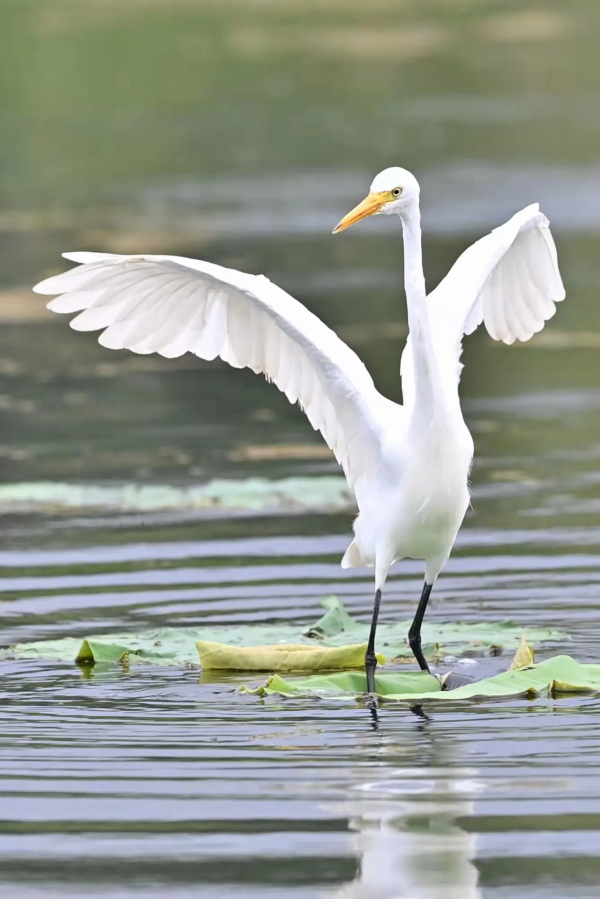 一本讓你三小時讀懂5000年中國歷史的書