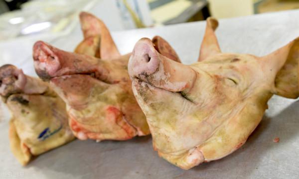 朋友，你聽說過，我國臘月過小年和過大年習俗的來歷嗎、、