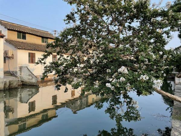 留住古鎮⑧ 留住古鎮⑧