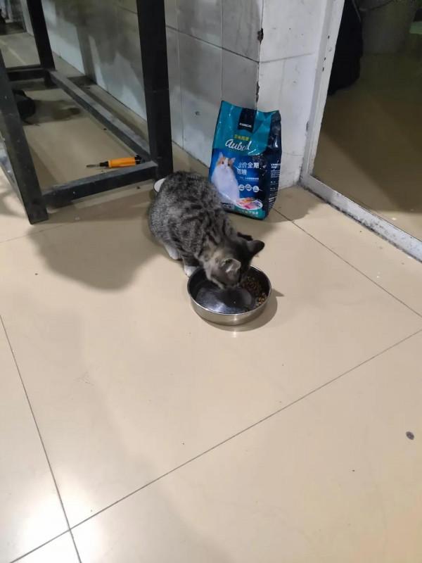 摩旅中國第七天