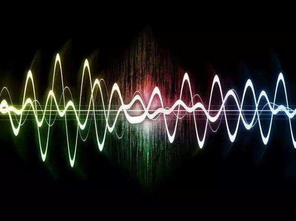 蛇頭兩邊沒有長耳朵，“打草驚蛇”為何能嚇跑蛇？答案來了