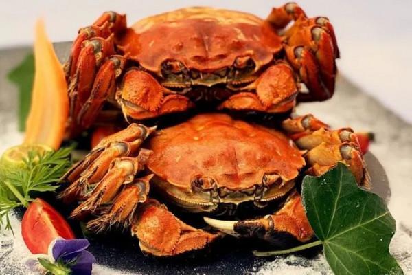 豐富多彩的浪漫“香”遇,正在青浦等你哦~跟著特色線路遊起來 豐富多彩的浪漫“香”遇,正在青浦等你哦~跟著特色線路遊起來