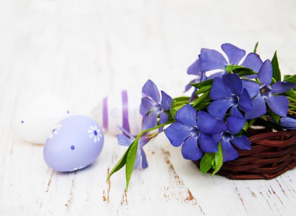 30種藍色的花卉裡面,你見過的有多少種? 30種藍色的花卉裡面,你見過的有多少種?