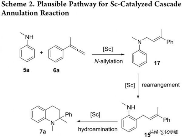 蘇州大學的徐信教授課題組Sc-催化苯胺的「3+3」環化合成四氫喹啉