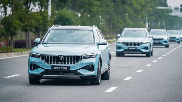 嵐圖FREE增程版今年還省嗎？月養車9百，車險漲7元