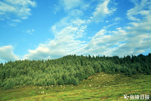 祁連山下的這個小村莊,隱藏了最美的秋色 祁連山下的這個小村莊,隱藏了最美的秋色