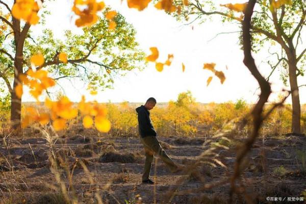50歲後，想健康，靠自己，不吃“三飯”，不睡“三覺”，做好三事