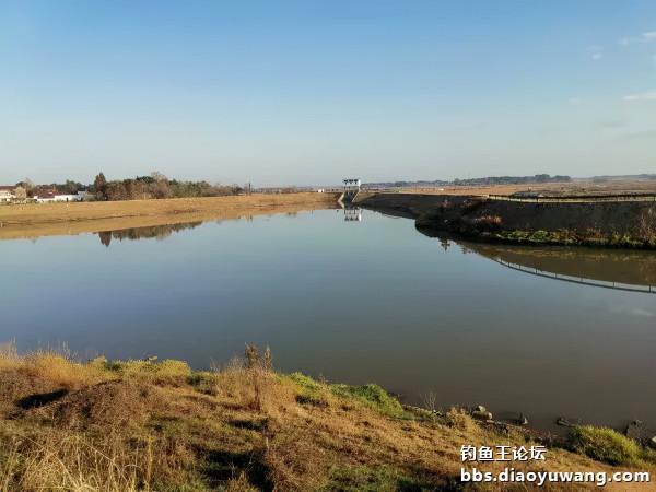 轉戰兩地，終獲一碗鮮