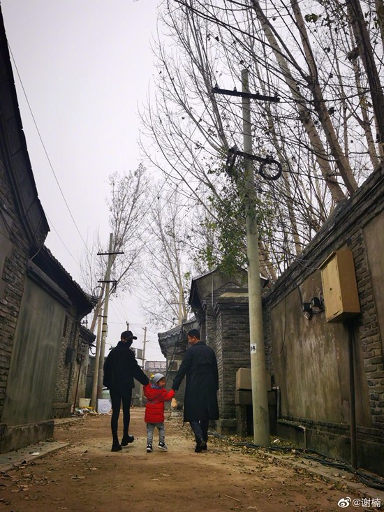 謝楠曬一家三口牽手背影照 吳京與兒子親密互動