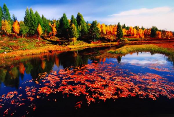 國慶自駕遊路線(二):北京-阿爾山-呼倫 國慶自駕遊路線(二):北京-阿爾山-呼倫