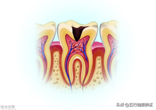中醫:腎絕牙齒長,脾絕人中平,肺絕皮毛脫,肝絕舌捲縮,對嗎? 中醫:腎絕牙齒長,脾絕人中平,肺絕皮毛脫,肝絕舌捲縮,對嗎?
