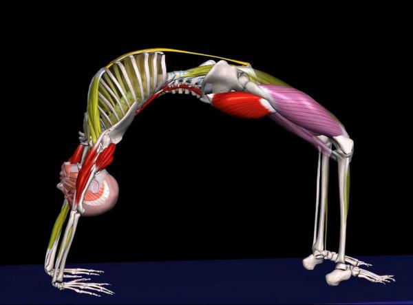 如何做一個漂亮的輪式?掌握這些要點,其實不難 如何做一個漂亮的輪式?掌握這些要點,其實不難