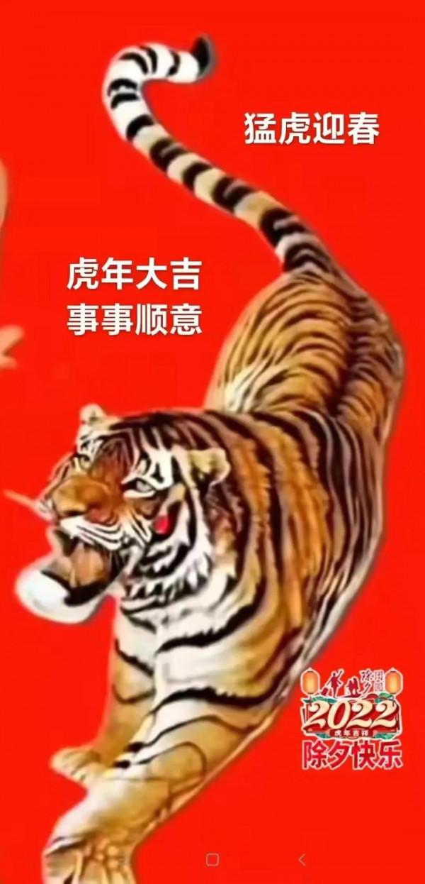 虎年話虎氣