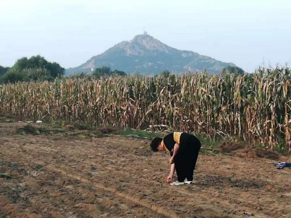 榮成之行（40）：八月初六 民俗村忙辦婚宴