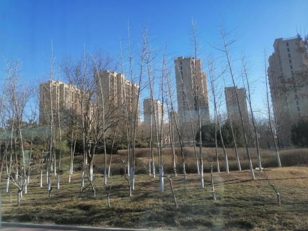 全國多地放價大跌,你買什麼樣的房子 全國多地放價大跌,你買什麼樣的房子