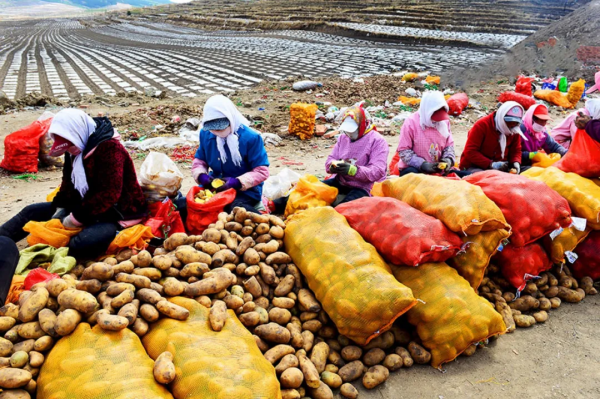 入展圖賞 |“美麗河北 豐蕪康寧”自然資源助力鄉村振興