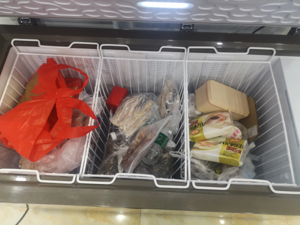 星星冷櫃介紹：BD/BC-289WDV -40度低溫速凍，商用家用兩相宜